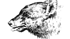 Pystytkö löytämään ihmisen tästä optisesta kuvasta?